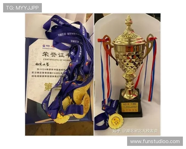 南京羽毛球队的比赛经验分享与成长之路探讨